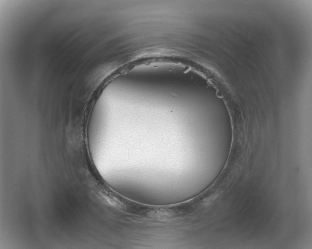 X0000067891073200604171331