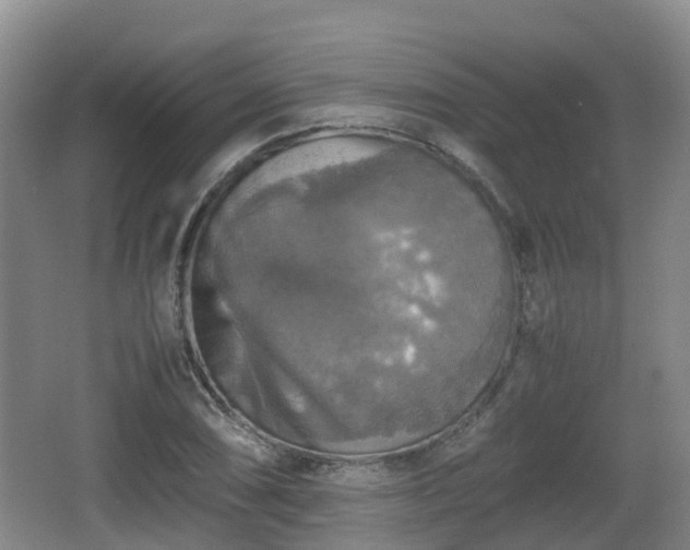 X0000067891074200604171331