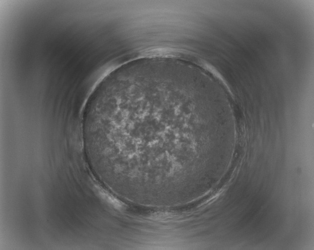 X0000067891075200604171331