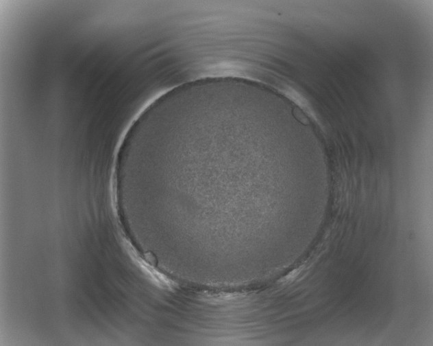 X0000067891076200604171331