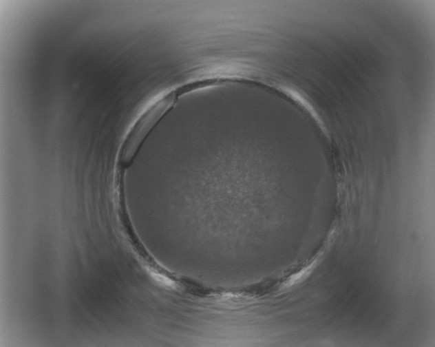 X0000067891077200604171331