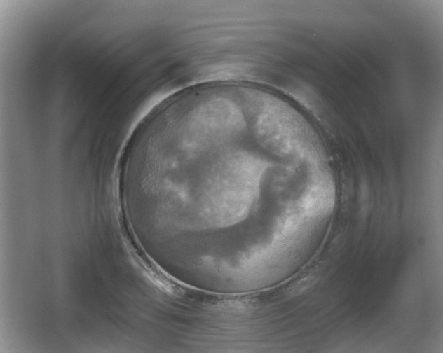 X0000067891078200604171331