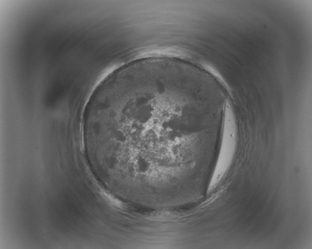 X0000067891079200604171331