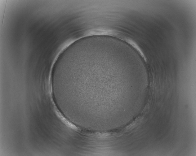 X0000067891080200604171331