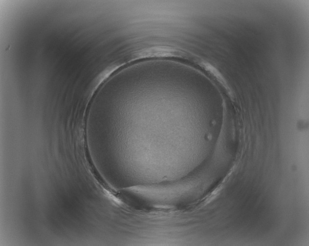 X0000067891081200604171331