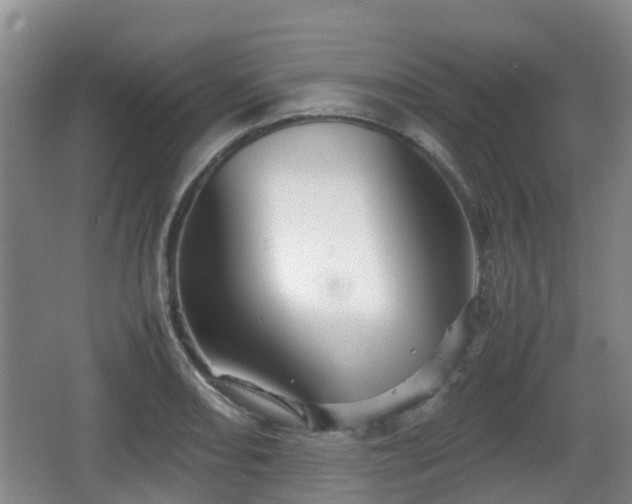 X0000067891082200604171331