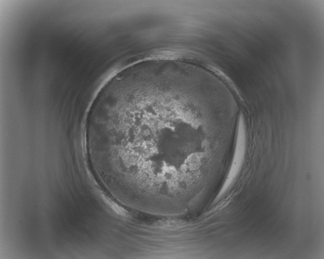 X0000067891083200604171331