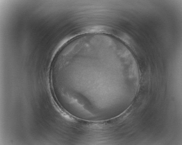 X0000067891086200604171331