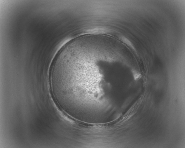 X0000067891087200604171331