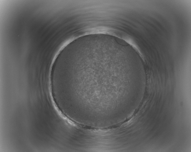 X0000067891088200604171331