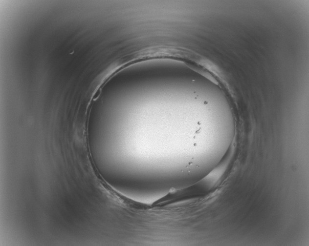 X0000067891089200604171331