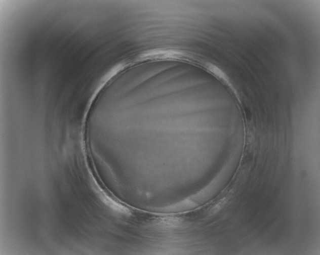 X0000067891090200604171331