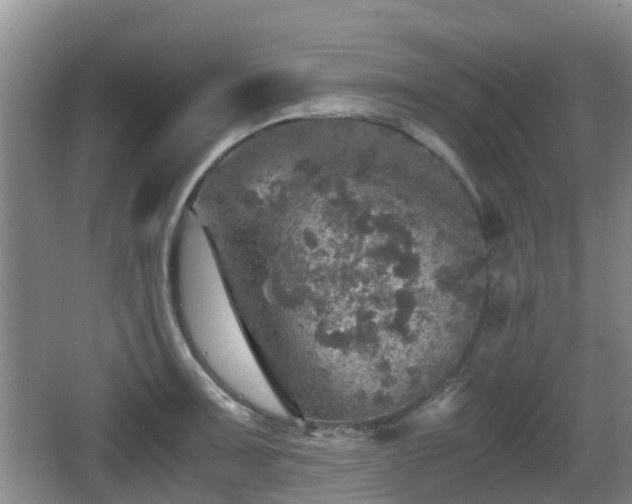 X0000067891091200604171331