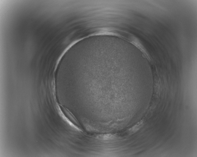 X0000067891092200604171331