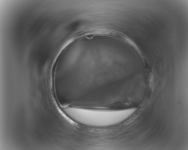 X0000067891095200604171331