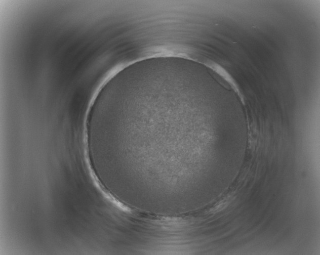 X0000067891096200604171331