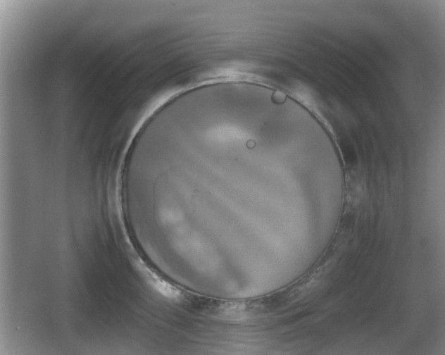 X0000067891098200604171331