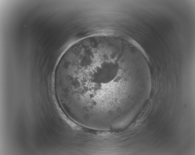 X0000067891099200604171331