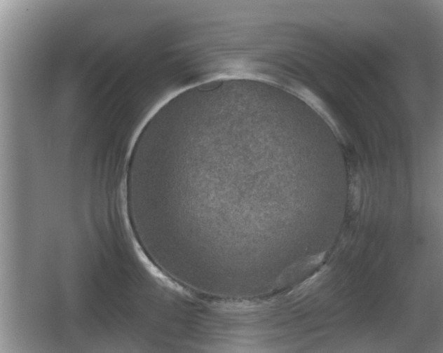 X0000067891100200604171331