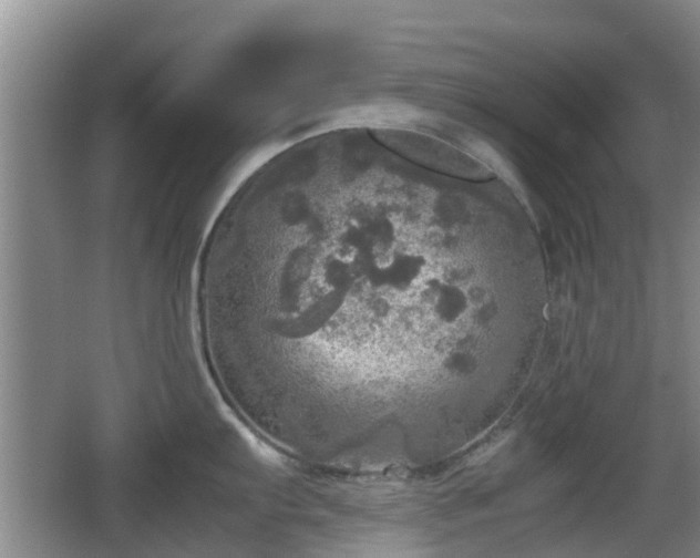 X0000067891103200604171330