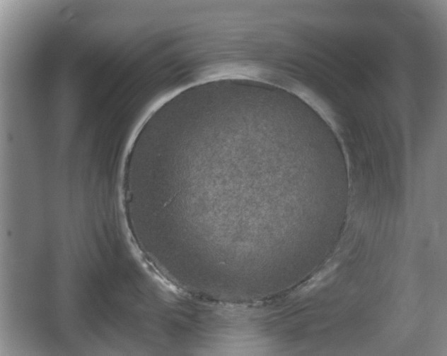 X0000067891104200604171330