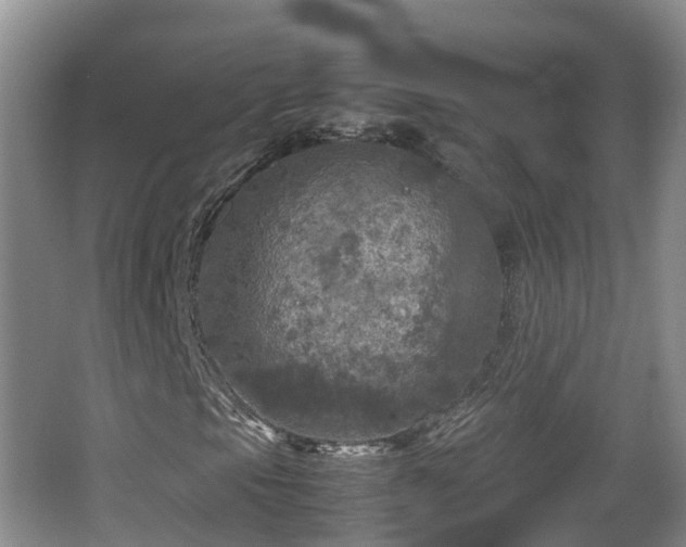 X0000067891105200604171330