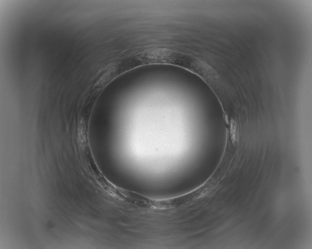 X0000067891107200604171330