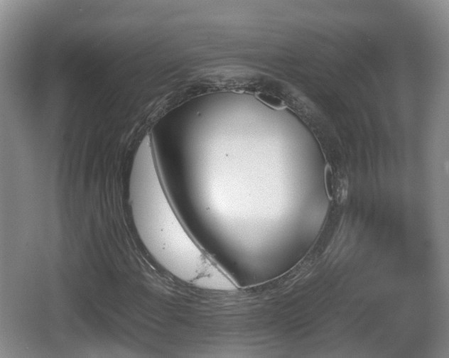 X0000067891108200604171330