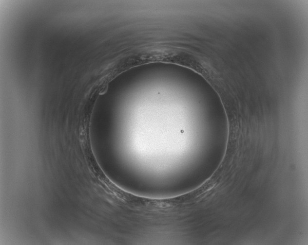 X0000067891109200604171330