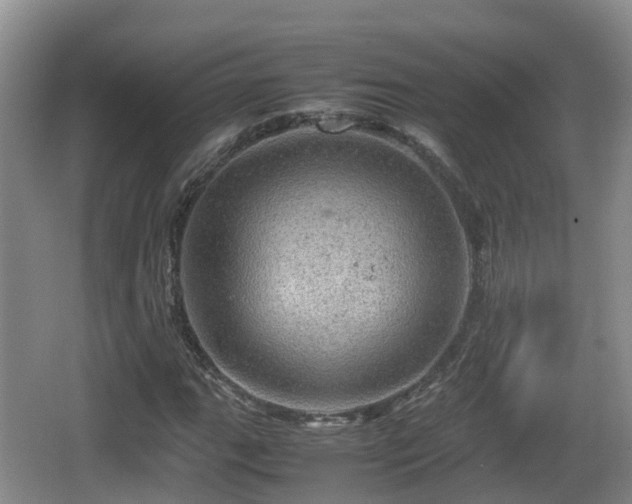 X0000067891111200604171330