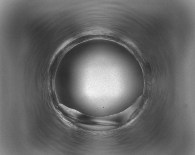 X0000067891114200604171330