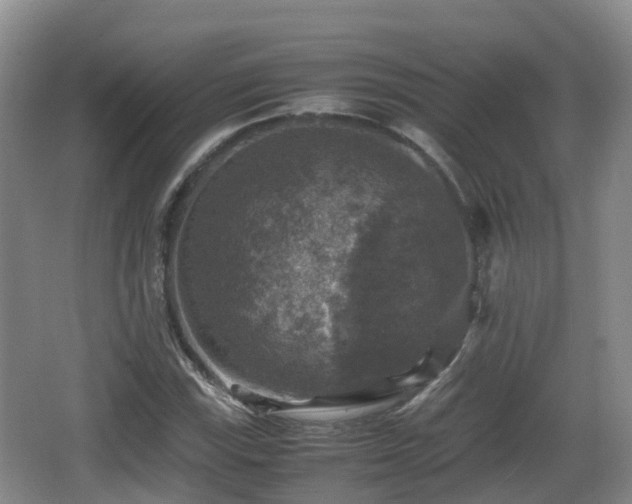 X0000067891115200604171330