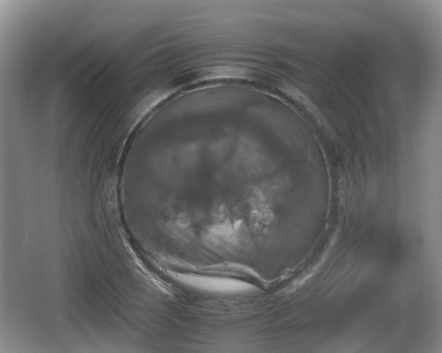 X0000067891121200604171330