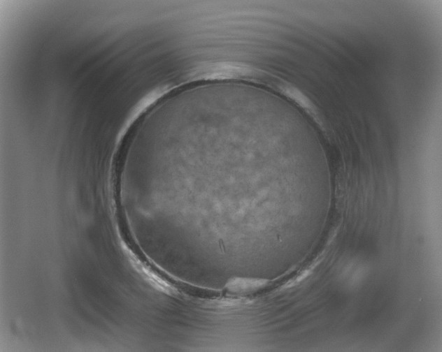 X0000067891122200604171330