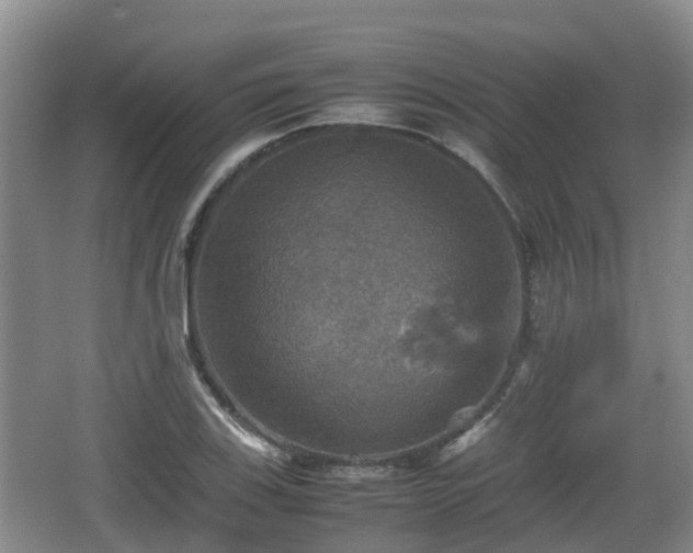 X0000067891123200604171330