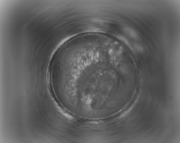 X0000067891125200604171330