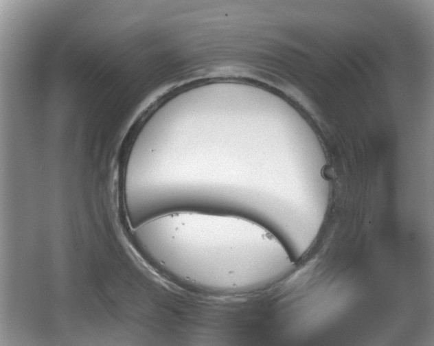 X0000067891126200604171330