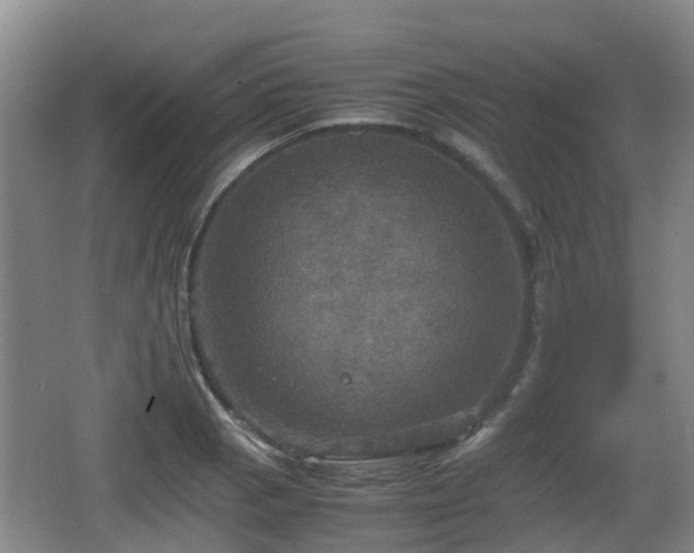 X0000067891129200604171330