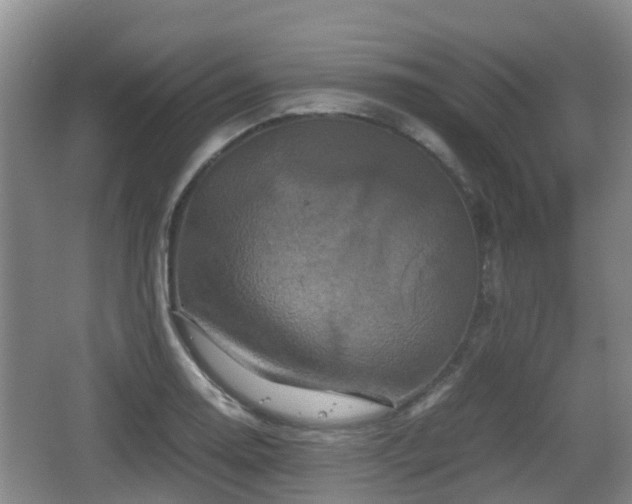 X0000067891130200604171330