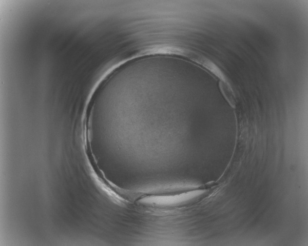 X0000067891132200604171330