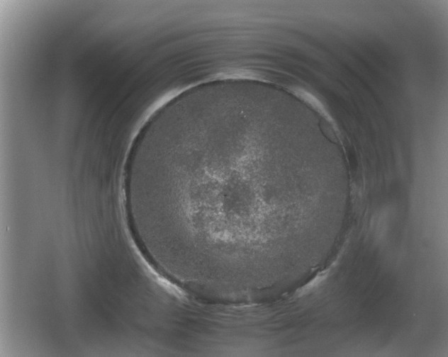 X0000067891133200604171330