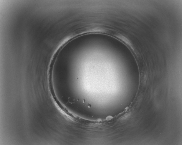 X0000067891135200604171330