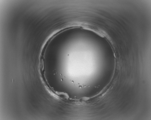 X0000067891136200604171330