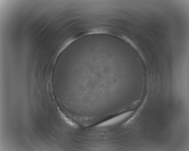 X0000067891137200604171330