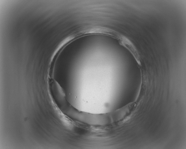 X0000067891138200604171330