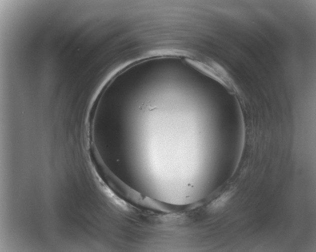 X0000067891140200604171330