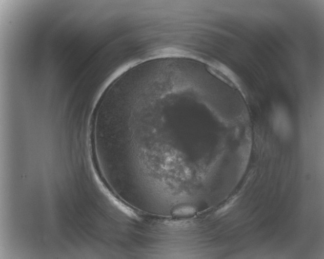 X0000067891142200604171330