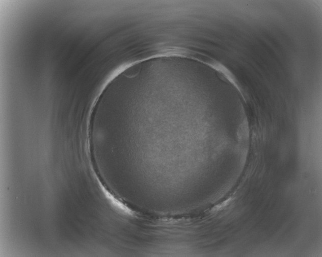 X0000067891143200604171330