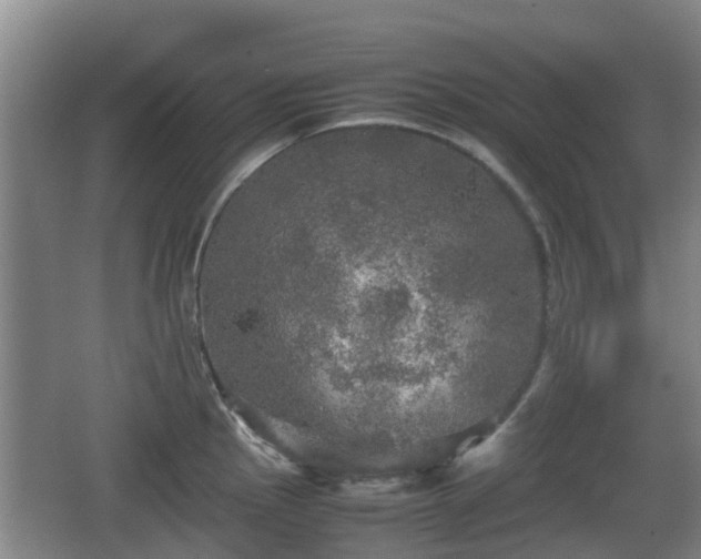 X0000067891145200604171330