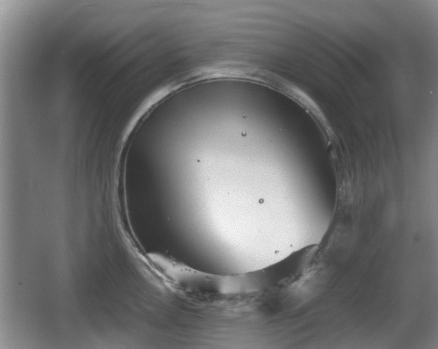 X0000067891146200604171330